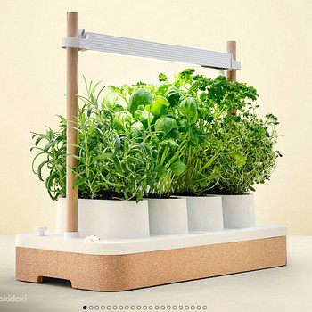 Auk Mini Smart Garden nutiaed UUS