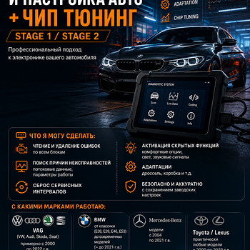 Chip-Tuning / Arvutidiagnostika / Kodeerimine / Kohandamine