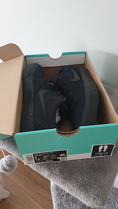 NIKE SB CHARGE (5 фото из 6)