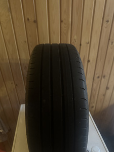 Nissani veljed (3 foto / 4)