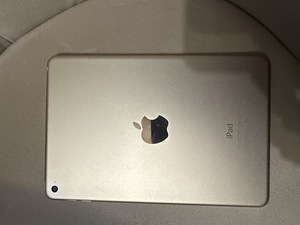 iPad mini (1 фото из 2)