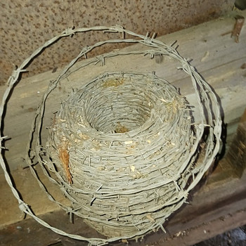 Обои