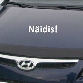 EGR защита капота Hyundai i30