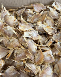 BOARFISH - METSSIGA KALA, KUIVATATUD KALA (3 foto / 4)