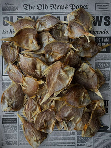 BOARFISH - METSSIGA KALA, KUIVATATUD KALA (1 foto / 4)