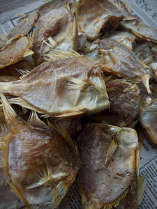 BOARFISH - METSSIGA KALA, KUIVATATUD KALA (4 foto / 4)