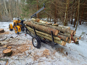 ATV METSAVEO KÄRU (4 foto / 5)