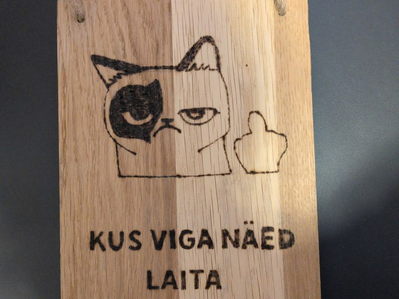 Деревянная табличка "Kus viga näed laita"