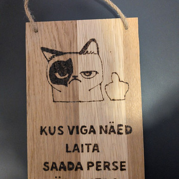 Puidust silt "Kus viga näed laita"