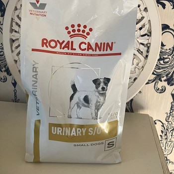 Royal Canin Urinary Small Dogs