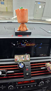BMW E70 4.0d (12 foto / 15)