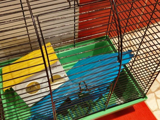 Puur