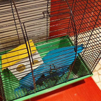 Puur