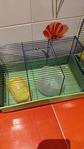 Puur (2 foto / 3)