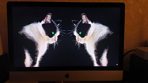 Apple 5K Monitor 5120x2880 27" Retina IPS, Display Mac mini (9 foto / 10)