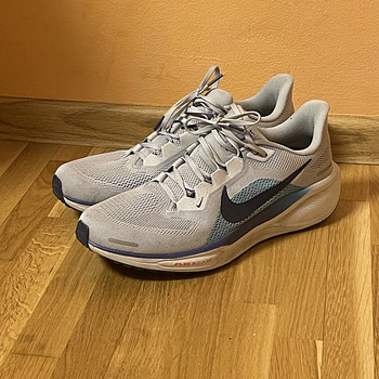Nike Pegasus 41, размер 46