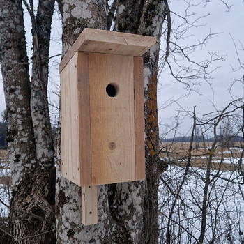 Скворечник для мелких птиц (синиц)