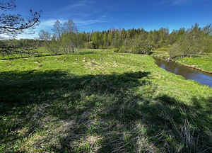 Maretsaare, Kõveriku, Mustvee vald, Jõgevamaa (1 foto / 10)