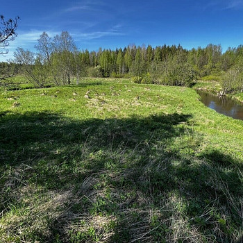 Maretsaare, Kõveriku, Mustvee vald, Jõgevamaa
