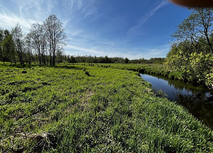 Maretsaare, Kõveriku, Mustvee vald, Jõgevamaa (2 foto / 10)