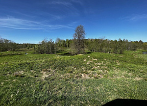 Maretsaare, Kõveriku, Mustvee vald, Jõgevamaa (3 foto / 10)