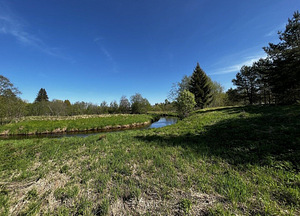 Maretsaare, Kõveriku, Mustvee vald, Jõgevamaa (4 foto / 10)