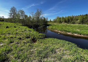 Maretsaare, Kõveriku, Mustvee vald, Jõgevamaa (5 foto / 10)