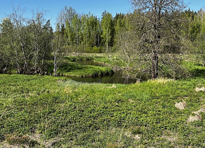 Maretsaare, Kõveriku, Mustvee vald, Jõgevamaa (7 foto / 10)