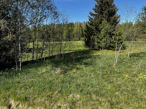 Maretsaare, Kõveriku, Mustvee vald, Jõgevamaa (8 foto / 10)