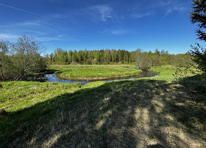 Maretsaare, Kõveriku, Mustvee vald, Jõgevamaa (10 foto / 10)