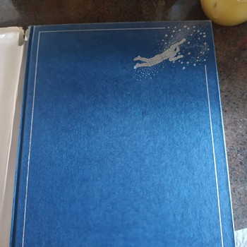 Fotoalbum "K tähtede poole!" 1982. a