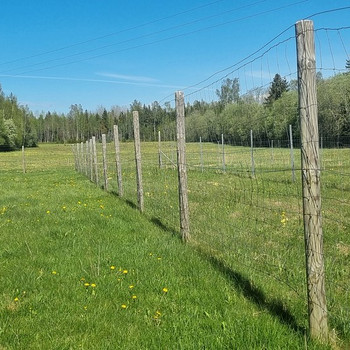 Заборы