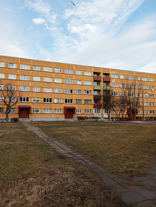 Metsapargi tn, Järve, Kohtla-Järve, Ida-Virumaa (3 foto / 19)
