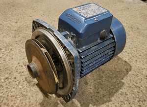 Elektrimootor PEDROLLO pump 220V 750W (1 foto / 4)