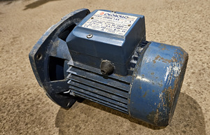 Elektrimootor PEDROLLO pump 220V 750W (2 foto / 4)