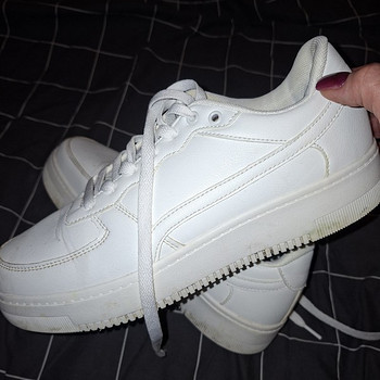 Puma tossud