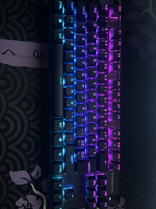 Müüa Steelseries APEX 9TKL klaviatuur (1 foto / 1)