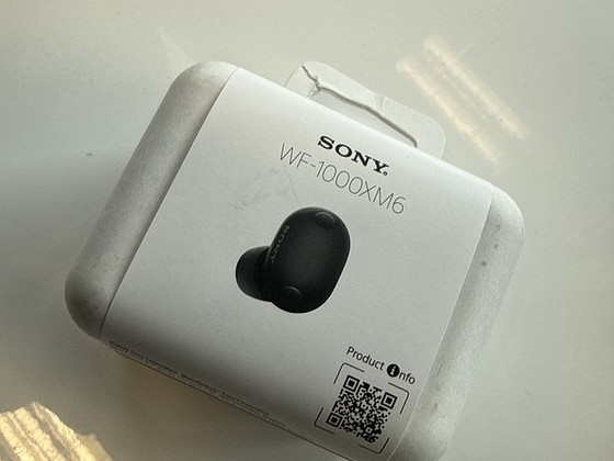 Sony WF-1000XM6