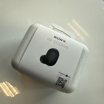 Sony WF-1000XM6