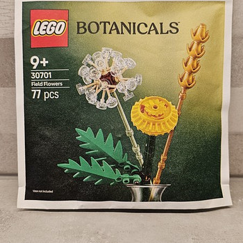 LEGO Botanicals Полевые цветы (30701)