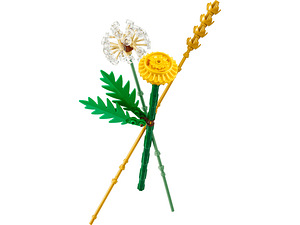 LEGO Botanicals Põllulilled (30701) (4 foto / 4)