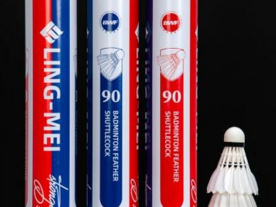 Trenni ja võistlus sulgpall Ling-Mei