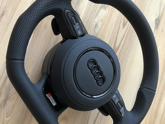 Audi rool