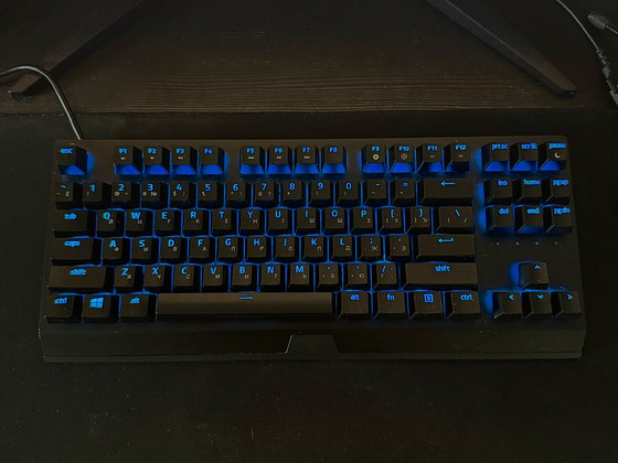 Razer Blackwidow V3 tenkeyless