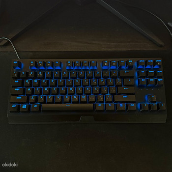Razer Blackwidow V3 tenkeyless