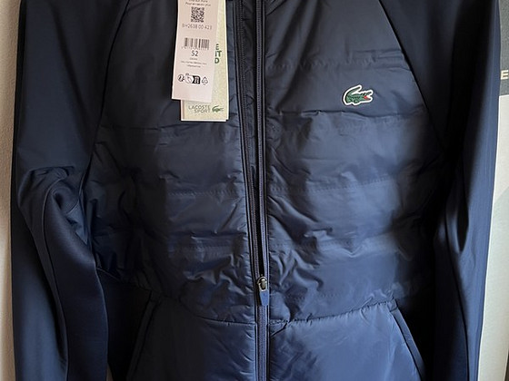Lacoste