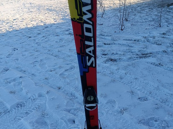 Mäesuusad Salomon 120 cm