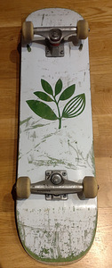 Skateboard (3 foto / 5)