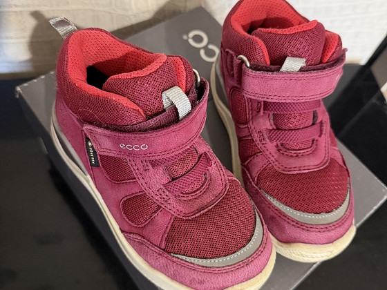 Ecco р.26