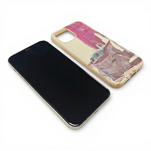 Mobiiltelefon Apple iPhone 12 Pro 512GB + kaane (2 foto / 5)
